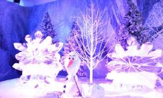 ——探究如何在遇见中寻找唯美句子并理解朋友间的真正意义