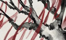 超全！包含了各种兄弟友情的表述方式的一系列句子！