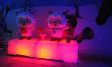 赞美照片的句子，展现真挚友情之魅力