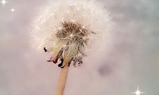 今年11月的问候短信:祝您幸福安康、事业蒸蒸日上、家庭小确幸、心情美满如意,并感慨时间流逝匆忙,提醒珍惜眼前人、热爱生命、追求梦想!