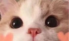 缘起情缘:撩动男心的暖心话语大集合