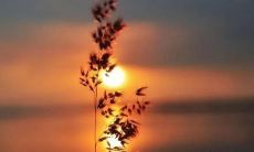 一起品味冬日清新句子,共赏季节之美