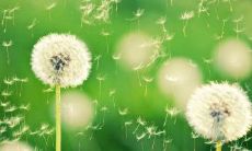 倾诉友情破灭的唯美句子:抒发心声寄托思绪的诗情画意