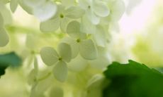 用句子表达珍视亲情的心情和感悟：表达内心深深珍惜亲情的句子分享