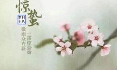 一个包含丰富惊蛰谚语的详尽指南