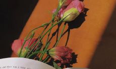 如何跨越时间和地域的障碍,打破文化和语言的限制,在不同的人生阶段遇到自己的缘分,最终实现爱的共同体:一个关于我跨文化恋爱的故事