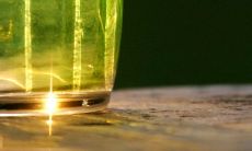 深刻反思亲情缺失带来失落和沮丧的话语