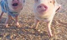 挑战最搞笑的座右铭大比拼!寻找世界上最令人捧腹的座右铭口号!