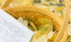 一些充满开心正能量的说说句子,让你笑口常开,心情美好无比