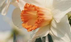 拥有深爱却悲伤无尽的一连串句子