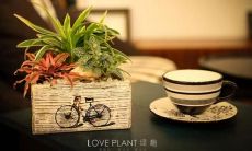 深入人心的感人句子，令人动容的亲情之情