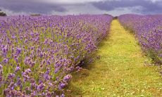 20个经典减肥药品广告语大全,教你如何选择健康有效的减肥方法!