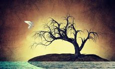 祝我心爱的女友在情人节快乐幸福，并表达我深深的爱意与关怀