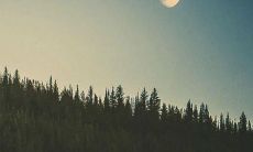 通过唯美的句子表达亲情之美的精选集