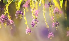 温馨的句子,讲述亲情陪伴的温暖和重要性