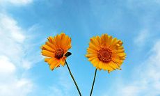 的痛，如何用伤感独白句子表达友情带来的伤痛之感？