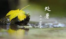 如何用简短祝福语表达处暑之际的祝福？