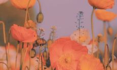 8个字的考试祝福语，让您轻松通过考试！