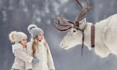 的温暖话语，蕴含在十字内的简短故事中