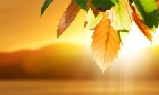 夜晚提供无尽的烦恼和焦虑,令人心烦意乱的句子是如何阻挡负面情绪的?