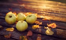 十年时光凝聚成的温馨亲情,感人至深的唯美语句分享