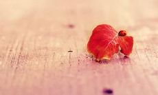 青春充满正能量的句子，让你更加积极向上