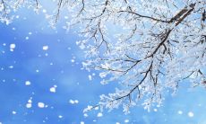 经过漫长的雨季，我开始感到心烦意乱：有哪些句子可以形容这种心境？