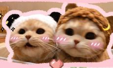 520必备！最甜蜜、最浪漫的表白文案推荐，精选适合520告白的经典句子！