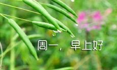 分享生活中积极向上的周一句子和图片:鼓励早起的正能量周一问候语