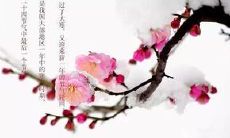 在大寒季节里分享一些温暖人心的话语