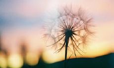 八：探寻人生的因缘关系——20句禅语，让你深入领悟生命的无常与缘起