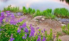 跨越困难,共创未来,飞跃团队的8字押韵口号