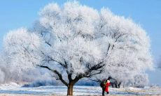 描述:一场初雪,如诗如画,恰似飞雪中的浪漫画卷,闻风而来,伴随着丰富多彩的景象和动人的意境,营造出一种神秘而又优美的氛围,让人沉醉于其中,思绪纷乱,难以自拔