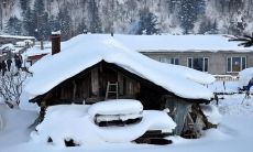 四季变幻,美丽无垠:翩跹春意,炎炎夏日,金秋霁月,冰封寒冬