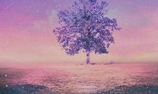 没有友情和爱情的话语及表达方式