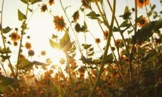 展现关于生死离别和友谊情感的触动心灵、感人至深的话语