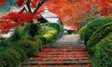 令人感伤的关于友情的句子：表达情感之深沉，彰显真挚之情！