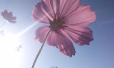 通过精心选定的话语，表达内心感受的友情友谊句子汇总