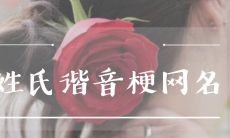 享受搞笑并充满趣味的创意姓氏谐音网络昵称