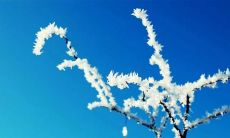 激励人们分享幸福的句子,祝福他人感到快乐和满足