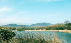 生命如风光易逝，描写时间流逝的美丽诗句