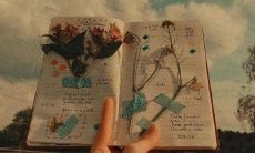 一场全新的旅游体验：分享新年欢乐、探索美景、释放内心的美妙心境