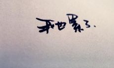 放下伤痛，告别心碎：让你不再感到心痛的句子