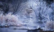 一段雪域如诗的冬日美景：绚丽而细腻，苍白的大地上覆盖着白茫茫的雪海，燃起了太阳照耀下的群山与树林，天空中漂浮着小小的雪花，深沉而悠远