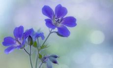 在朋友的恋人社交圈中发表留言的表达方式与技巧