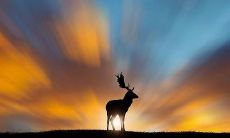 表达被缘分连接而生发友谊之情的精美句子