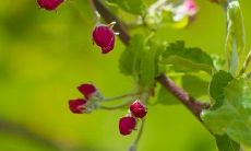 不舍放弃、心如刀割——表达终止友情的表述