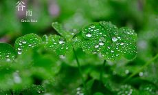 分享一些祝福语,迎接谷雨节气来临