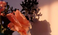 利用优美之辞的技巧,创造一个长长的标题,振聋发聩: 拥有引人入胜之文采,令人感受深邃情感,耐人寻味的句子改编