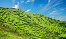 展现集团最佳销售团队的优秀口号: 鼓舞人心的口号是销售优异的关键!